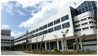 關(guān)于金環(huán)