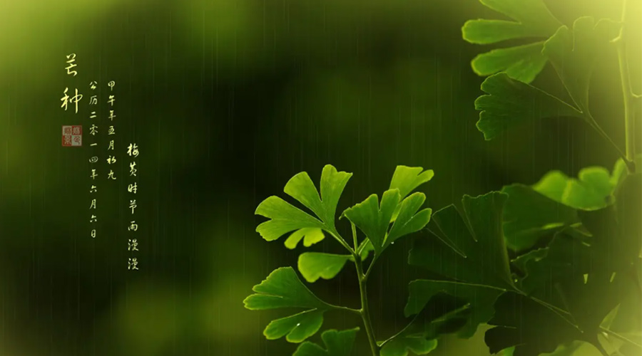 芒種時(shí)節(jié)！金環(huán)電器提醒大家的注意事項(xiàng)